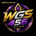 Wgs456 Game